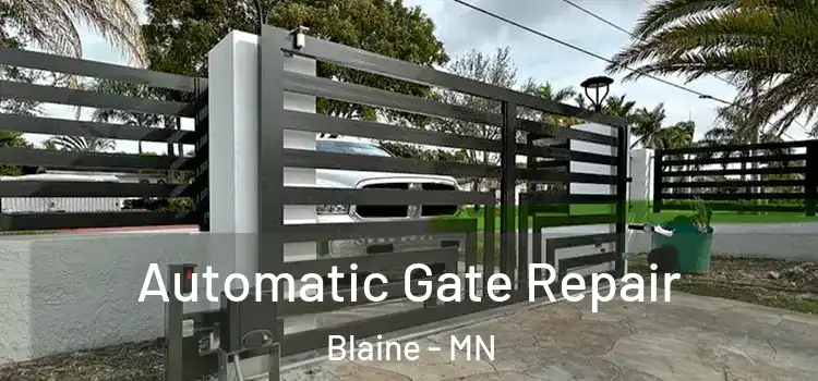 Automatic Gate Repair Blaine - MN