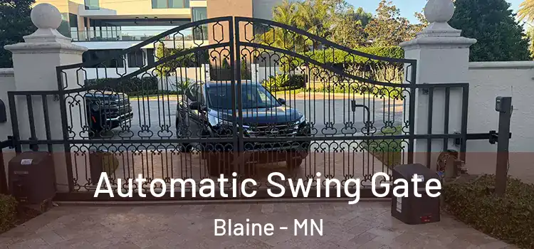 Automatic Swing Gate Blaine - MN