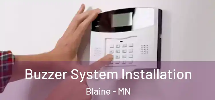 Buzzer System Installation Blaine - MN