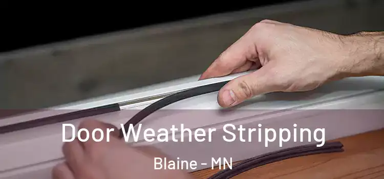 Door Weather Stripping Blaine - MN