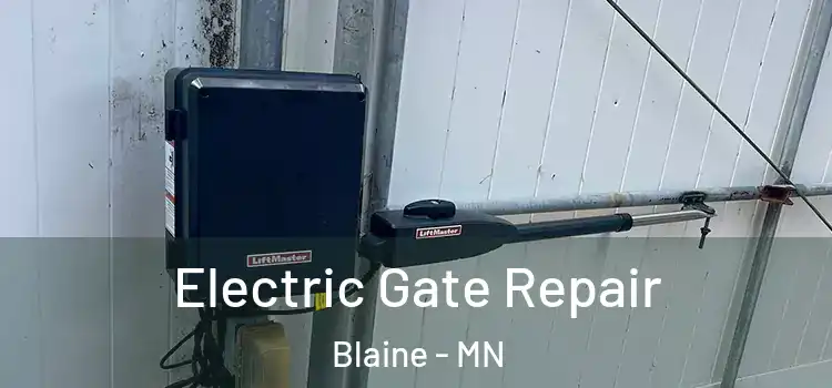 Electric Gate Repair Blaine - MN