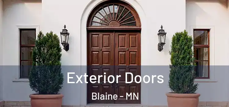 Exterior Doors Blaine - MN
