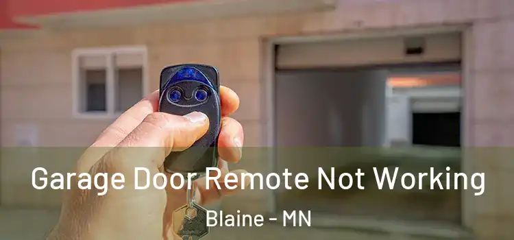  Garage Door Remote Not Working Blaine - MN