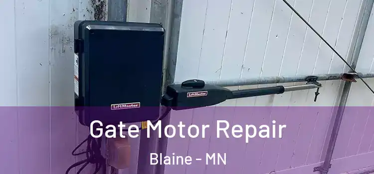 Gate Motor Repair Blaine - MN