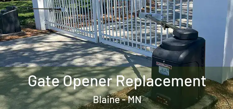 Gate Opener Replacement Blaine - MN