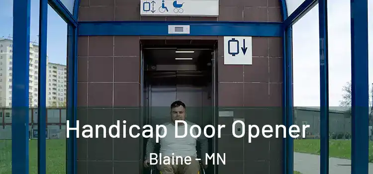 Handicap Door Opener Blaine - MN