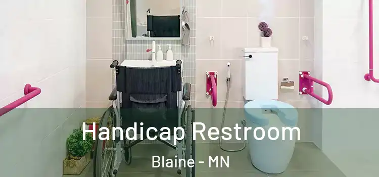 Handicap Restroom Blaine - MN