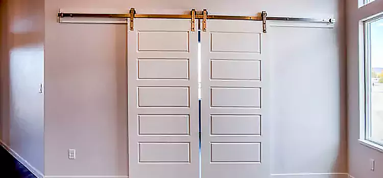 Glass Barn Door with Installation Hardware Kit Blaine