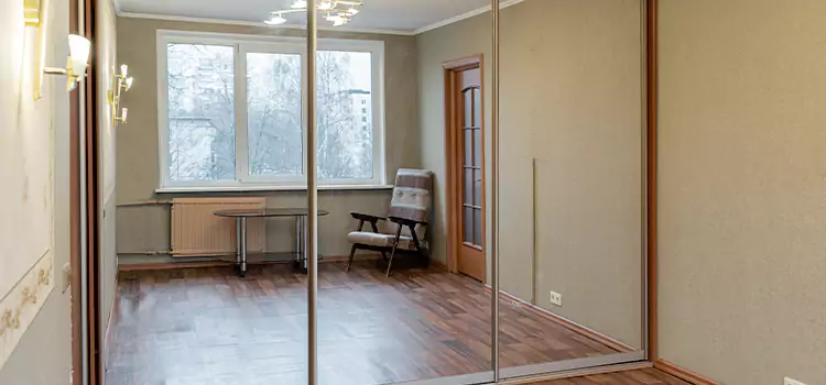Mirror Closet Door Roller Replacement Blaine