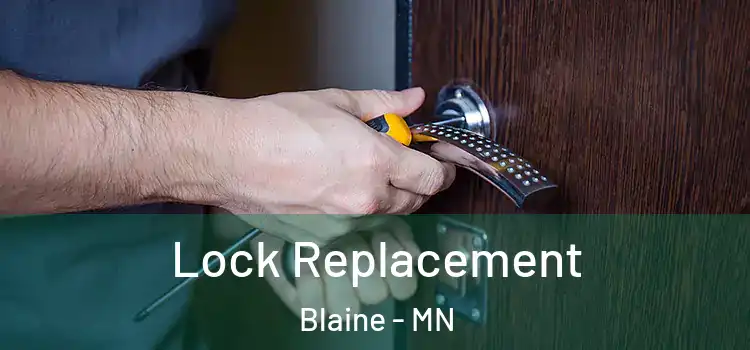 Lock Replacement Blaine - MN