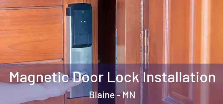  Magnetic Door Lock Installation Blaine - MN