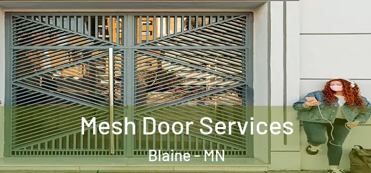 Mesh Door Services Blaine - MN