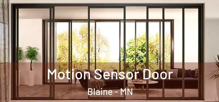 Motion Sensor Door Blaine - MN