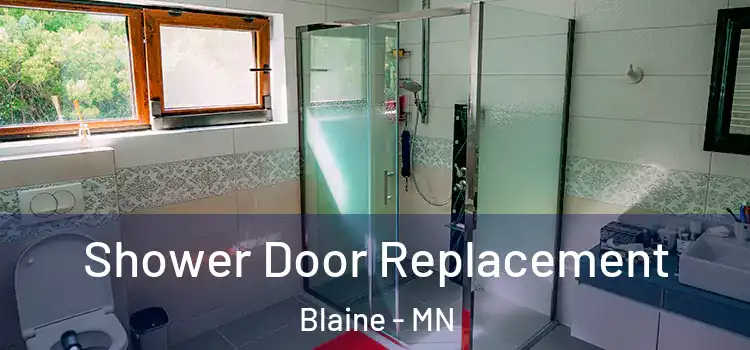 Shower Door Replacement Blaine - MN