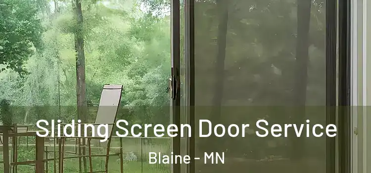 Sliding Screen Door Service Blaine - MN
