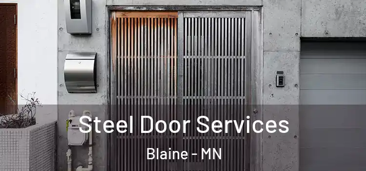 Steel Door Services Blaine - MN