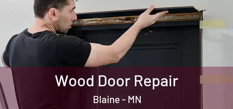 Wood Door Repair Blaine - MN